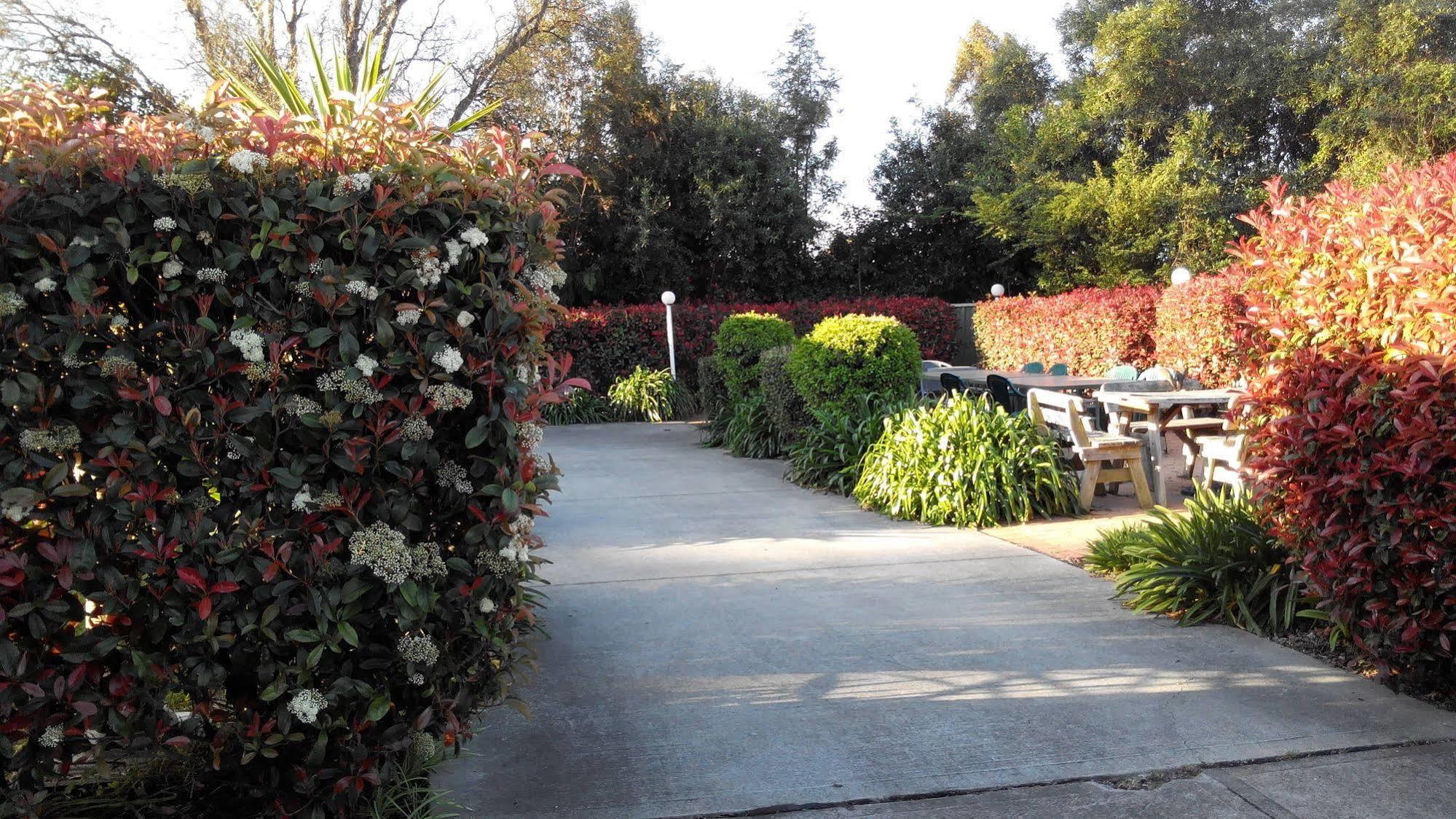 Branxton House Motel Bagian luar foto